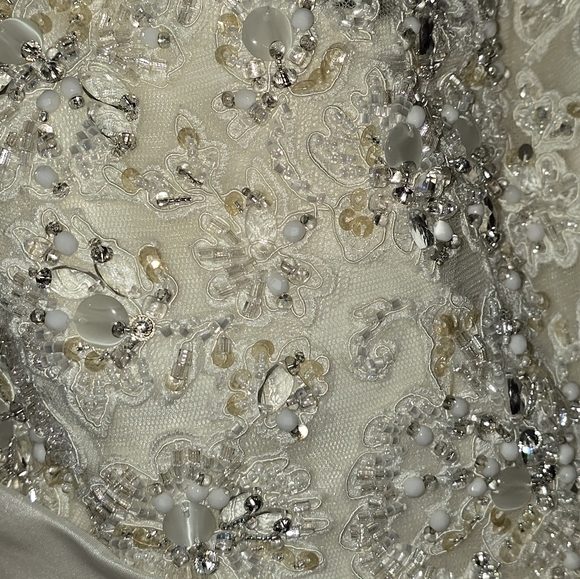 Sottero & Midgley Corset Wedding Dress - Picture 8 of 10